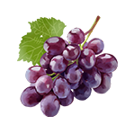 fruit水果水果